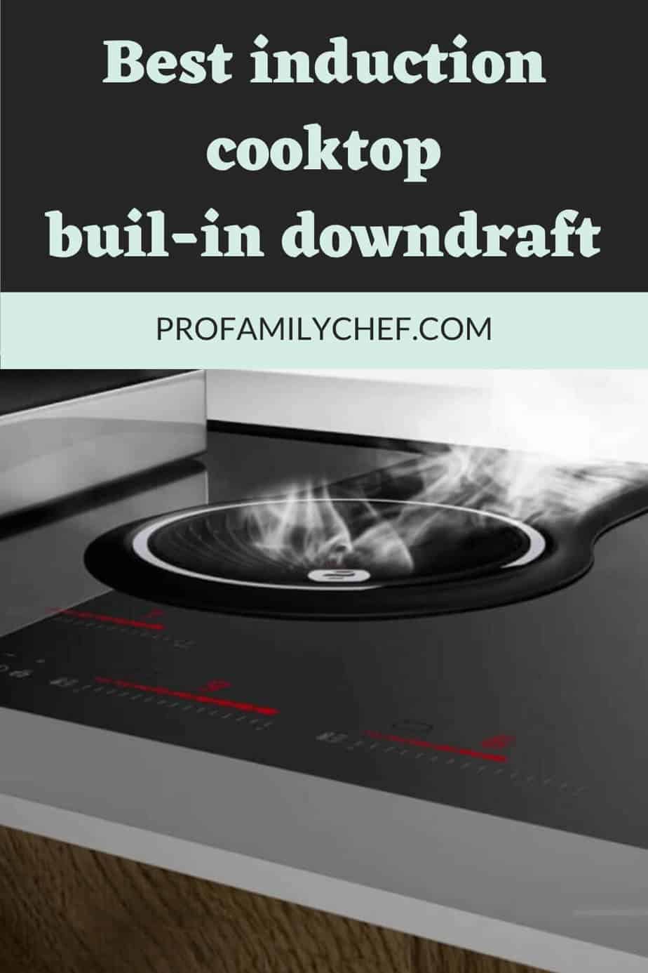 best induction cooktop or hob with built-in downdraft