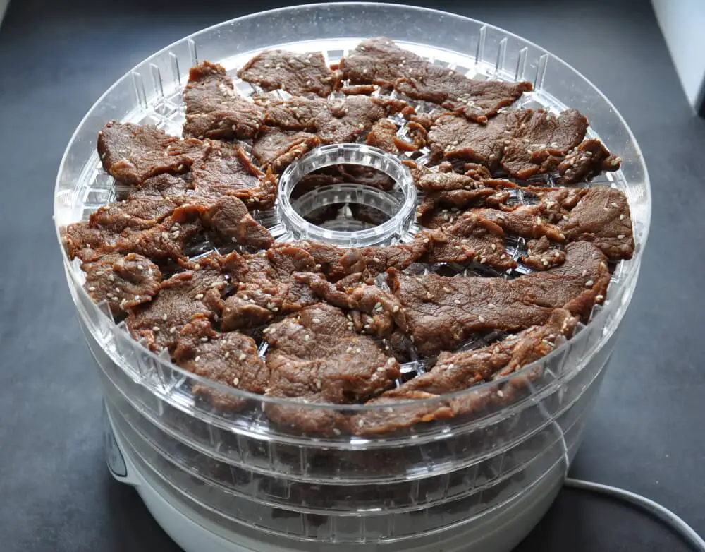 homemade beef jerky ready for dehydration