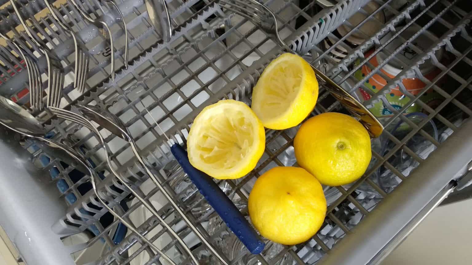 7 reasons why dishwashers have bad odor easy fixes for a fresh smell