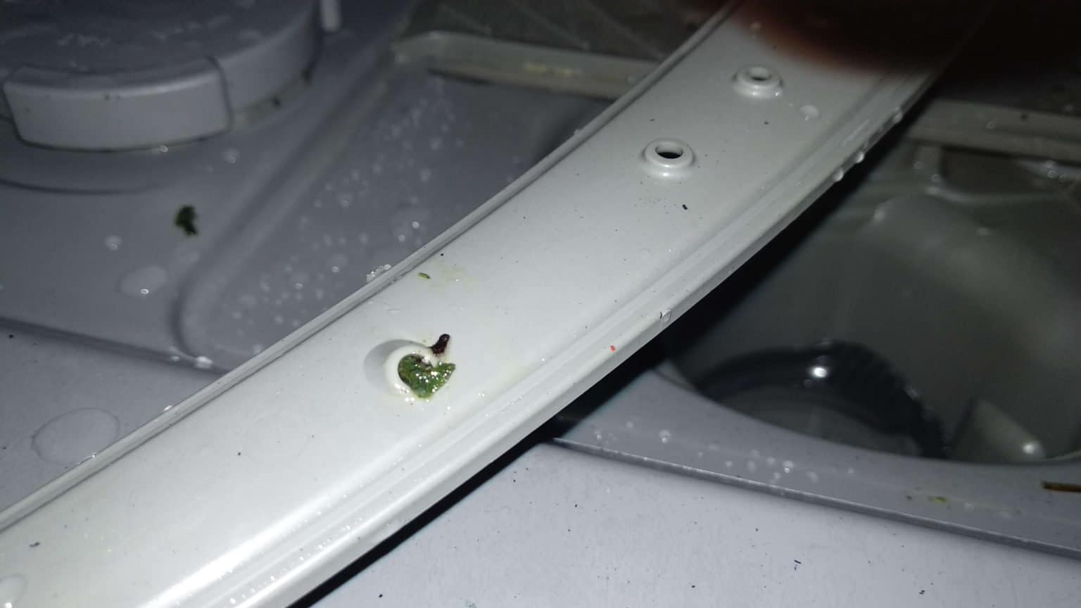 7 reasons why dishwashers have bad odor easy fixes for a fresh smell Pro Family Chef