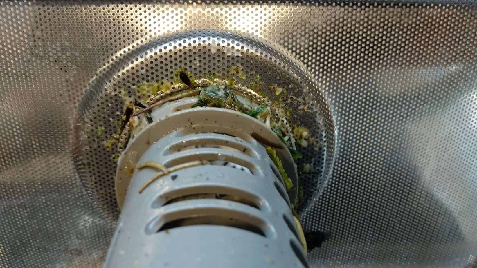 7 reasons why dishwashers have bad odor easy fixes for a fresh smell