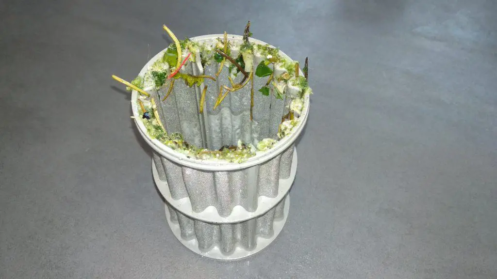 7 reasons why dishwashers have bad odor easy fixes for a fresh smell