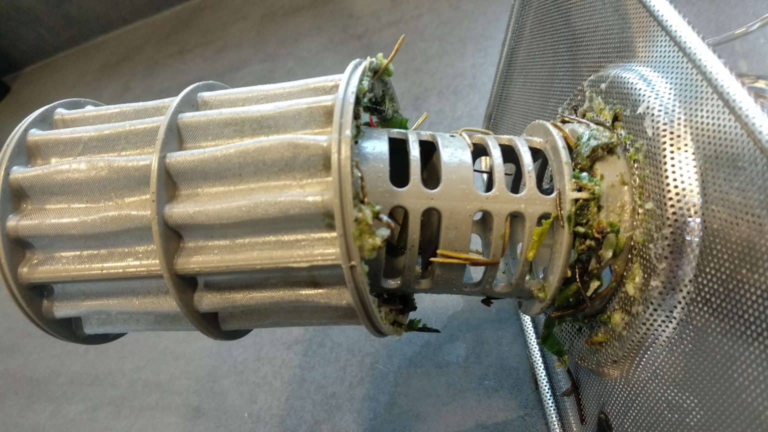 7 reasons why dishwashers have bad odor easy fixes for a fresh smell