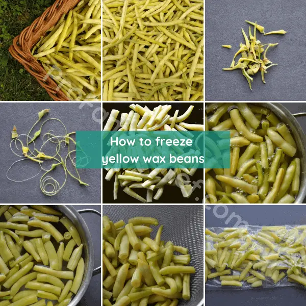 how to freeze yellow wax beans