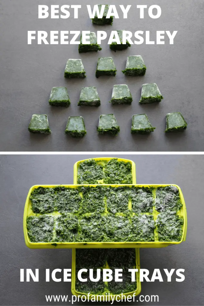 How to freeze parsley in ice cube trays, best way to do it PIN