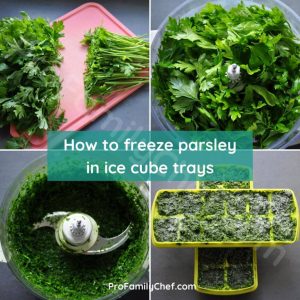 best way to freeze parsley in ice cube trays