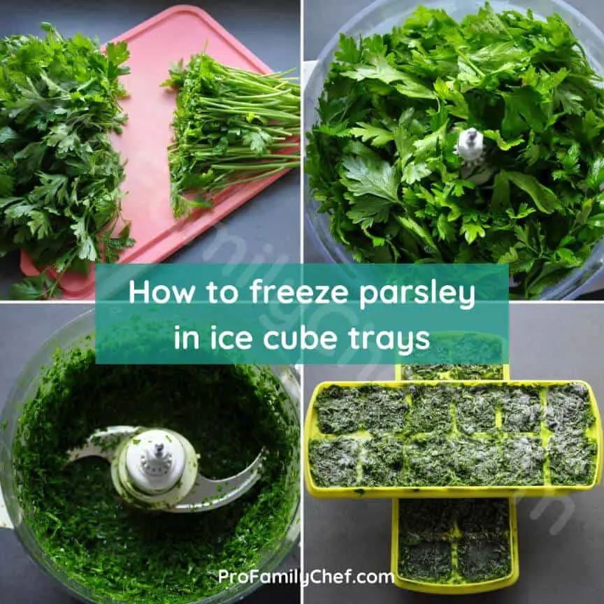 How to freeze parsley in ice cube trays, best way to do it Pro Family