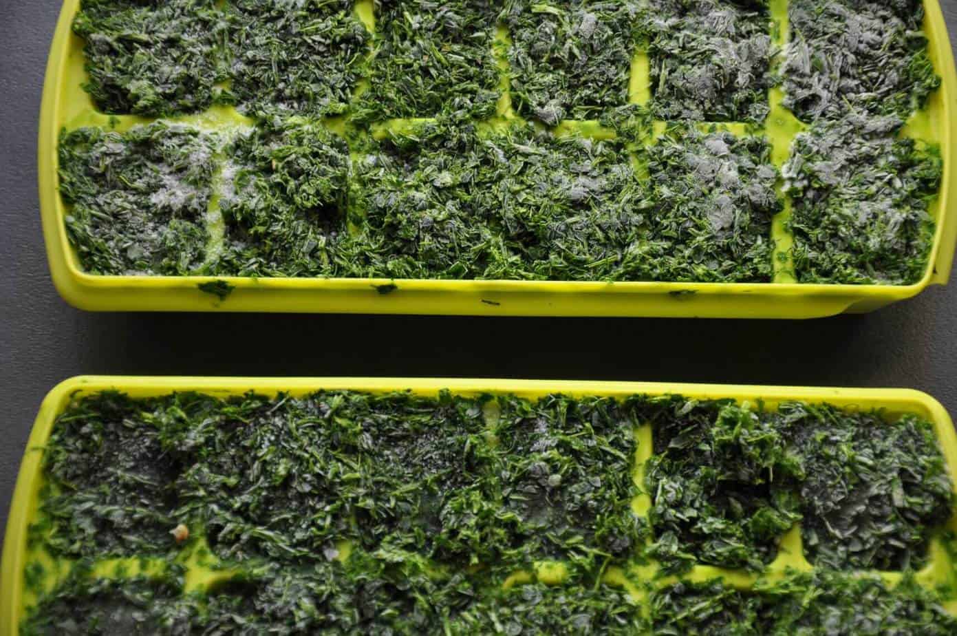 How to freeze parsley in ice cube trays, best way to do it Pro Family