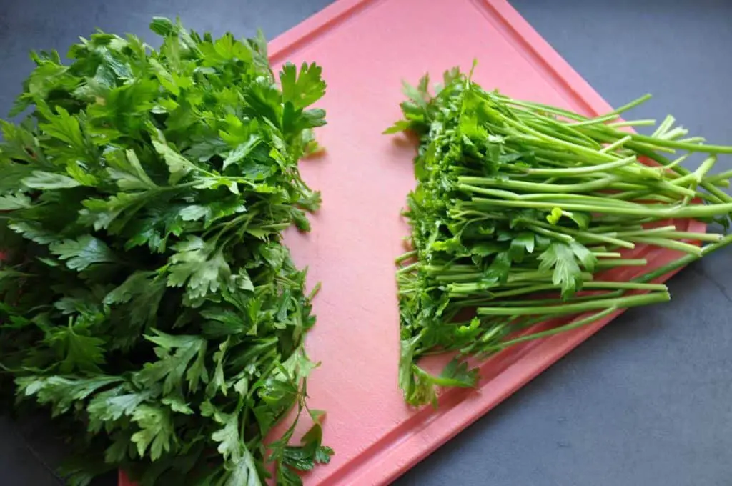 parsley cut off stems and leaves for mixing in food processor