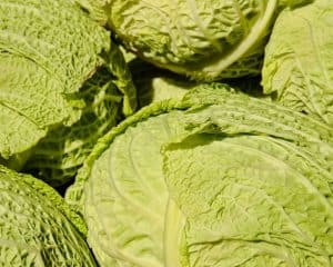 cabbage cooking vegetables for a crowd