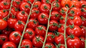 cherry tomatoes cooking vegetables for a crowd