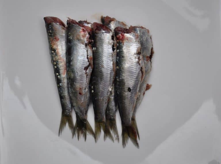 Can you freeze fresh sardines or herring, best way to do it and the