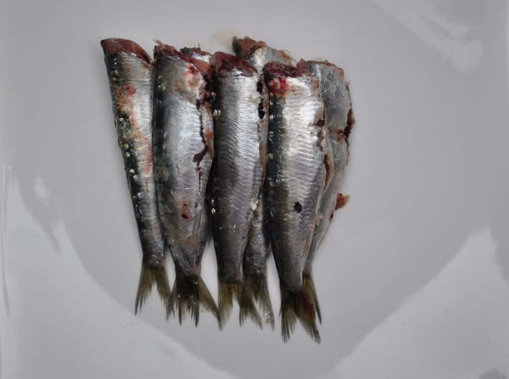 cleaned sardines deguted and head off