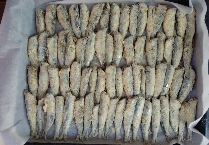fresh sardines and herring arranged in roasting tray for freezing