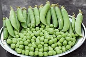 peas cooking vegetables for a crowd