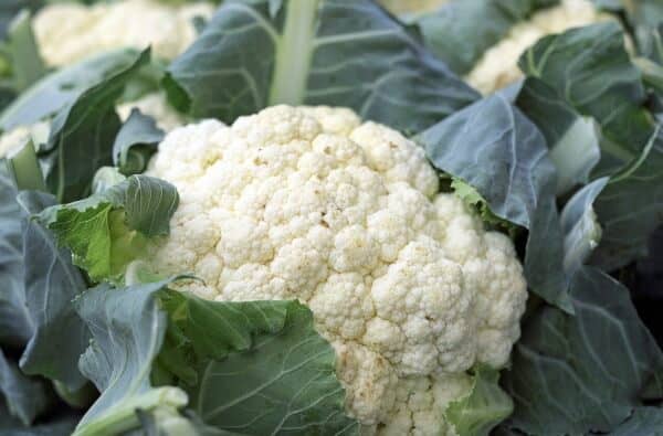 white cauliflower