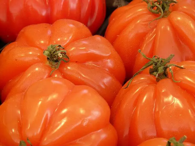 beefsteak tomatoes