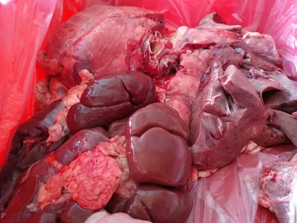 liver stomack lungs when buying beef in bulk