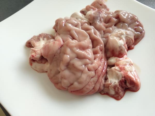 Pigs brain