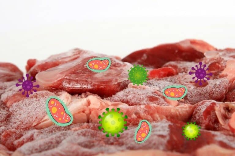 Does freezing meat kill bacteria and parasites Necesery steps for