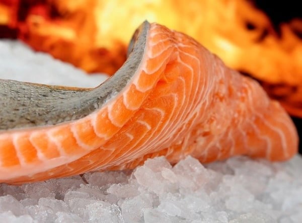 thawed salmon fish