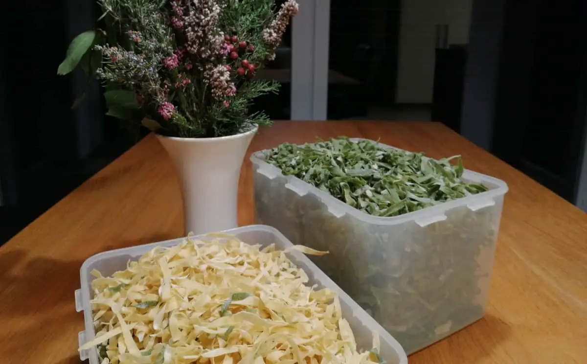 pasta for a crowd_ spinach and plain pasta noodles for 20 people