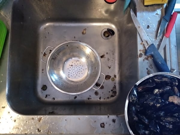 Cleaning scrubbing black mussels in collander with mess al around