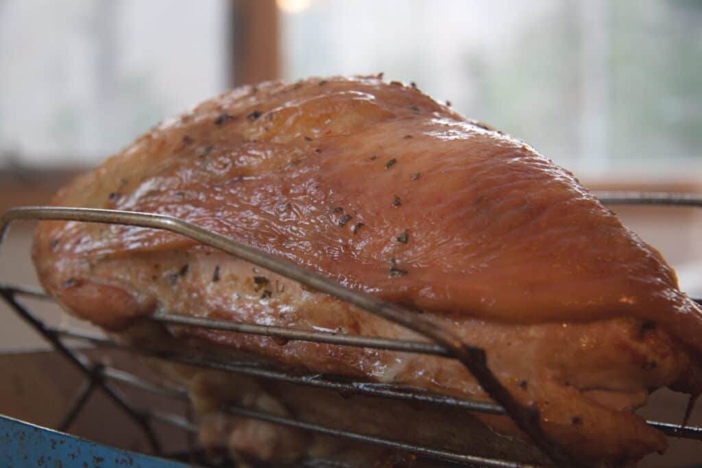 Can you cook turkey breast from frozen | is thawing required for juiciness and safety – Pro Family Chef