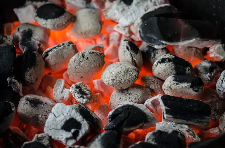 How to make an electric grill taste like charcoal? (6 Causes and