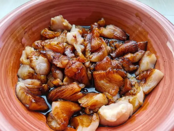 marinated chicken ready for freezing