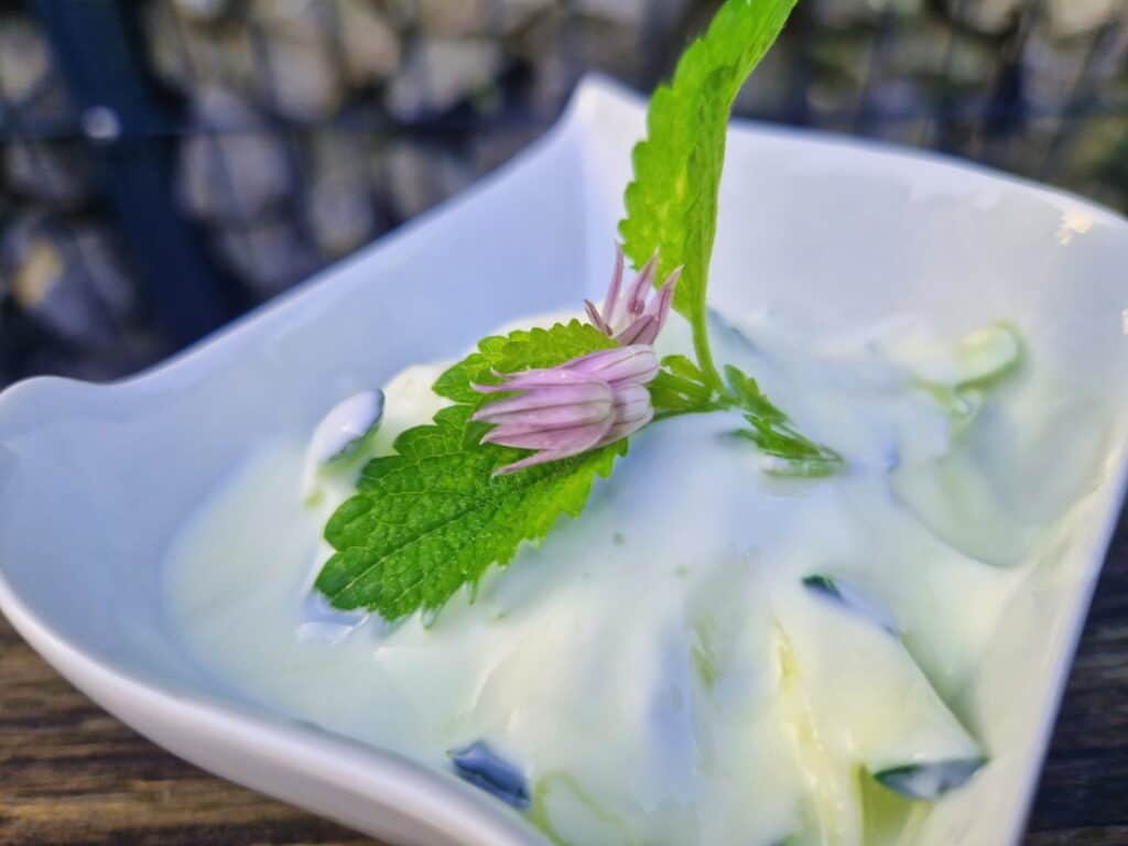 What kind of mint for tzatziki should you substitute mint with dill