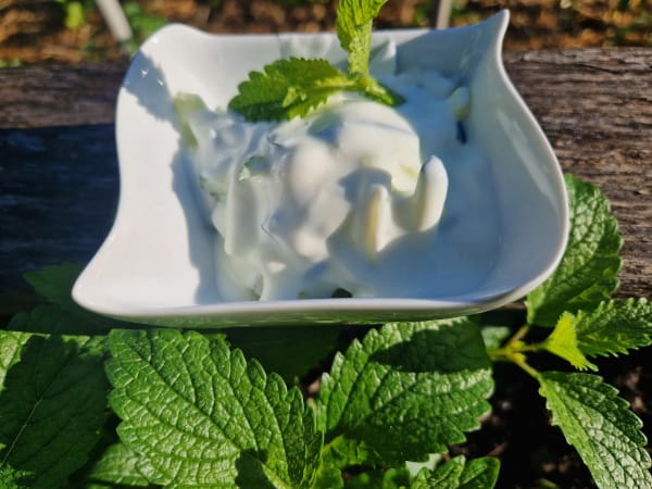 tzatziki recipe