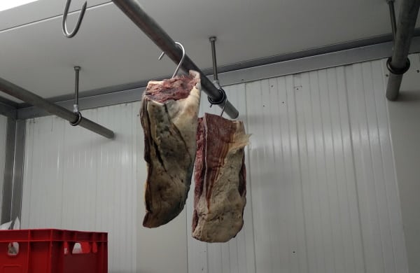 dry age frozen meat