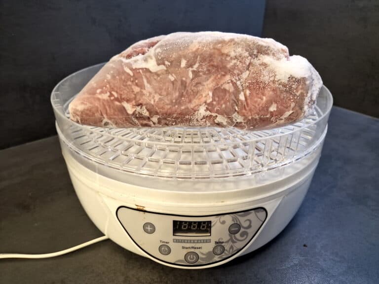 can you dehydrate frozen meat