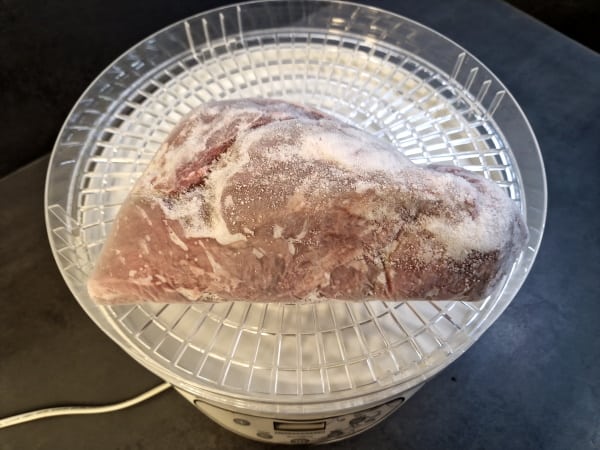 can you dehydrate frozen beef