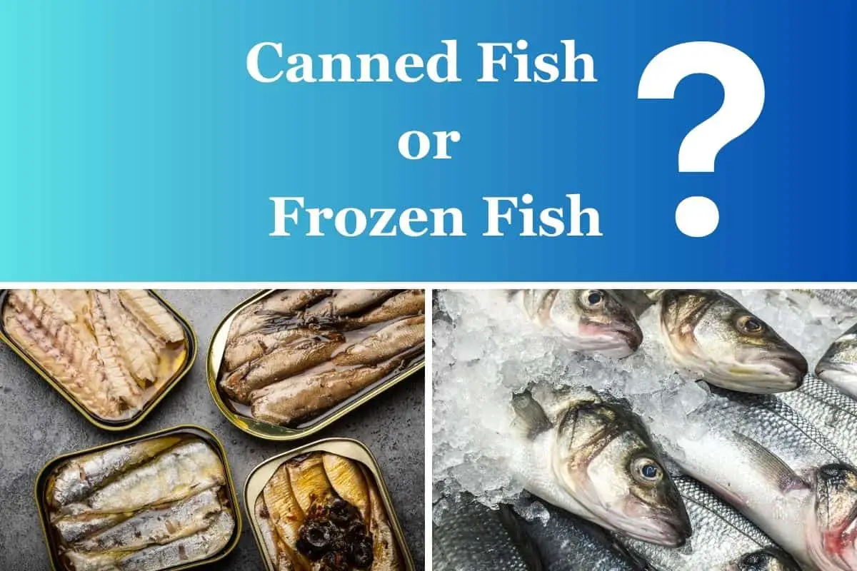 Canned or Frozen Fish