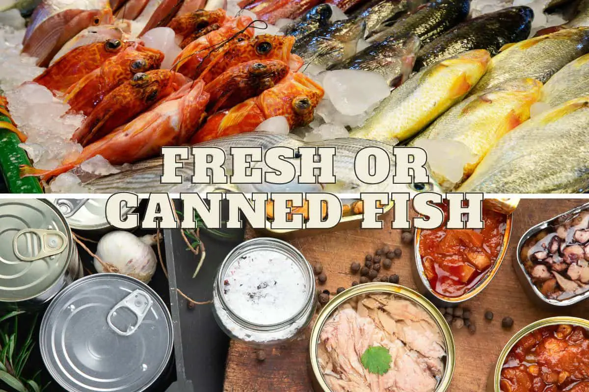 FRESH OR CANNED FISH